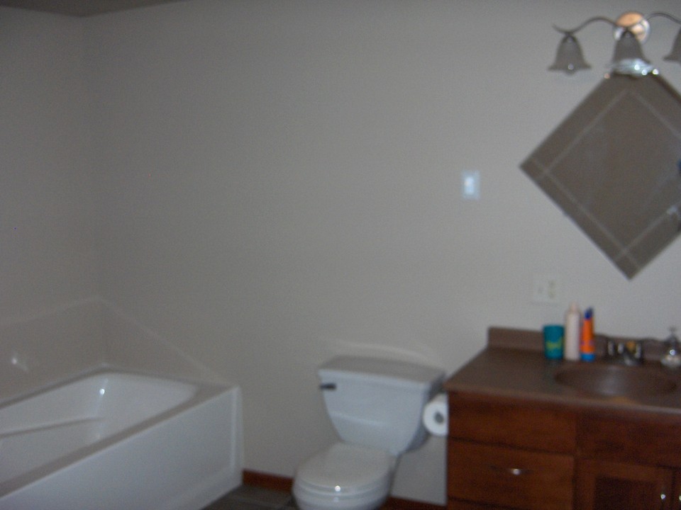 basement bath tub and walk in shower, very spacious