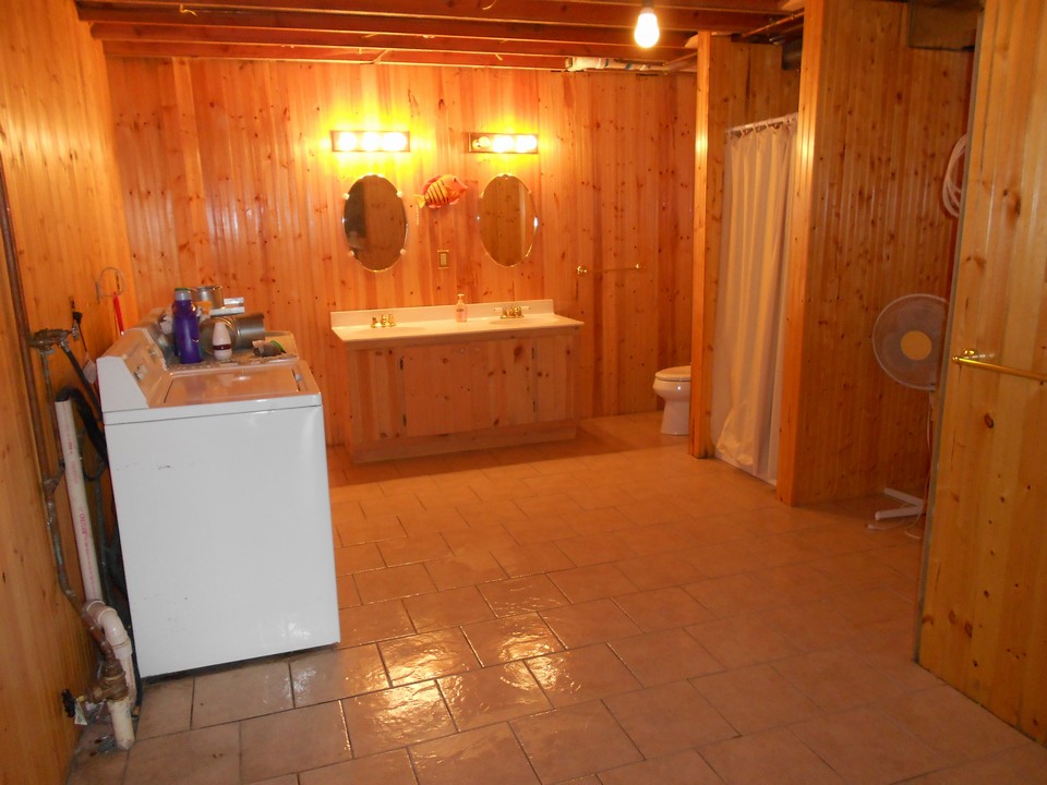 basement bathroom and laundry