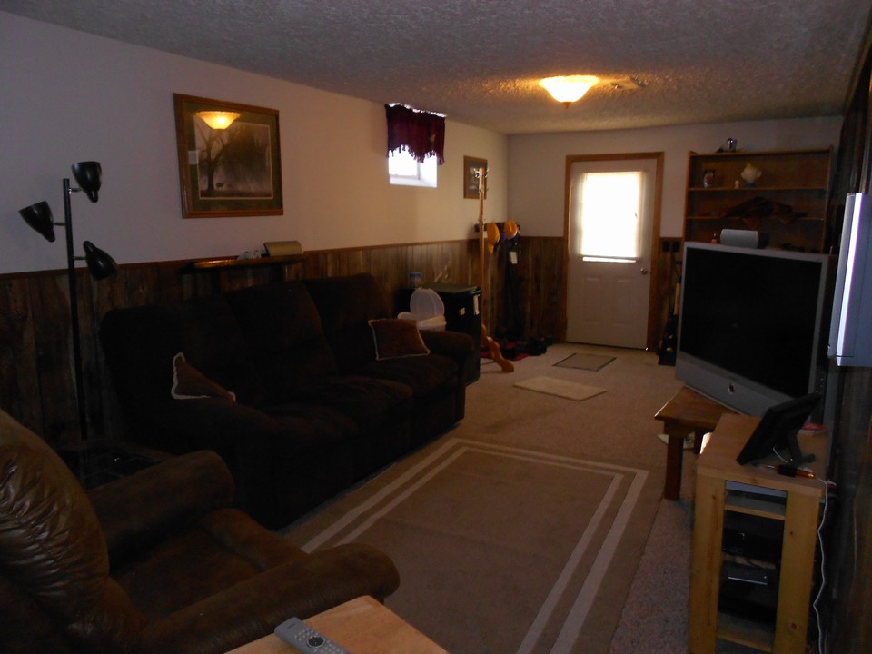 basement living area