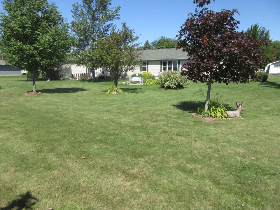 huge backyard lot is 294 by 220.