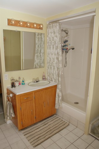 bathroom this bathroom is in the basement