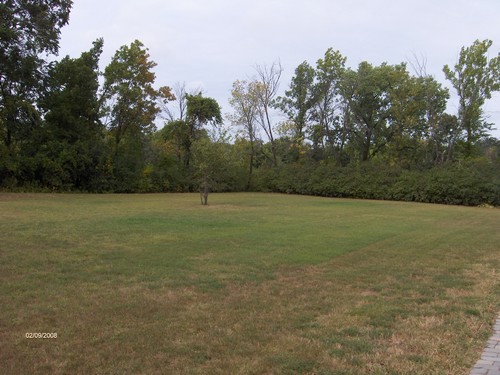 side yard
