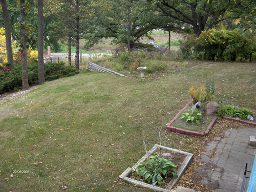 lots of room in the backyard