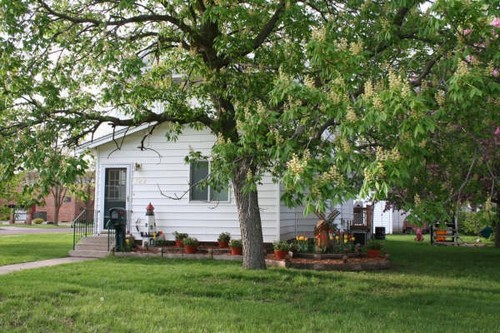 nice yard and landscaping