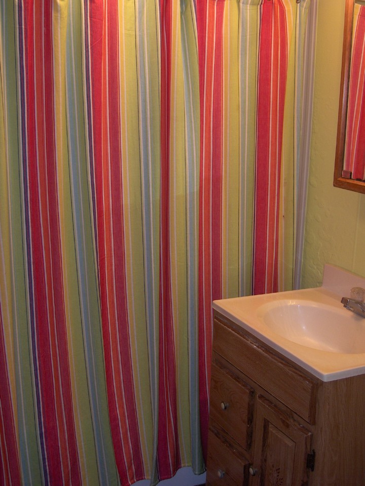 downstairs bathroom with tub and shower