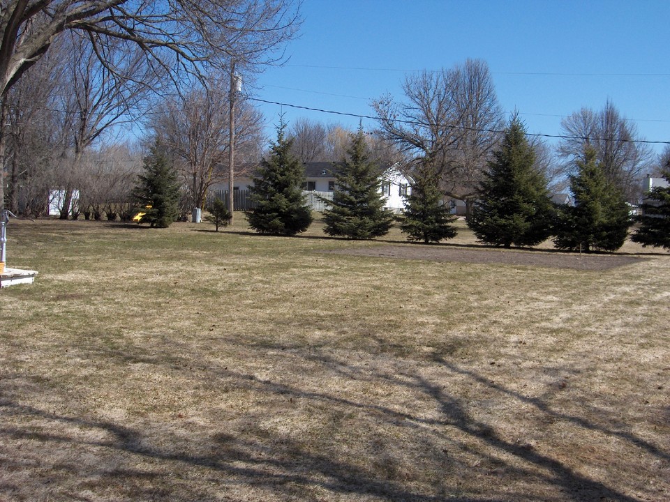 large flat backyard