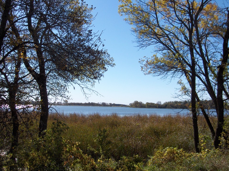 view from front yard