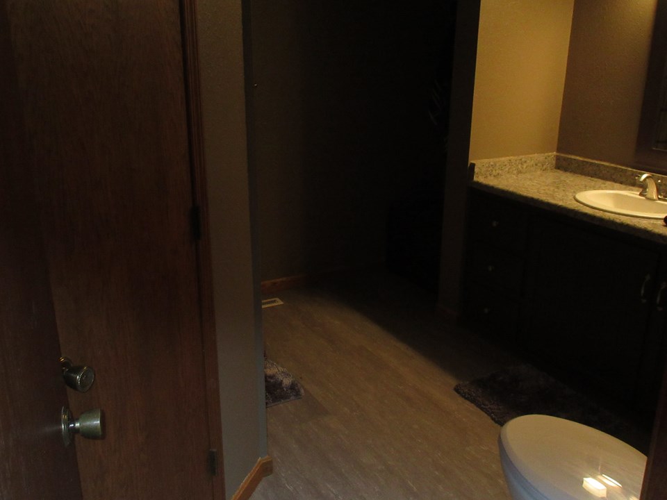 basement bathroom