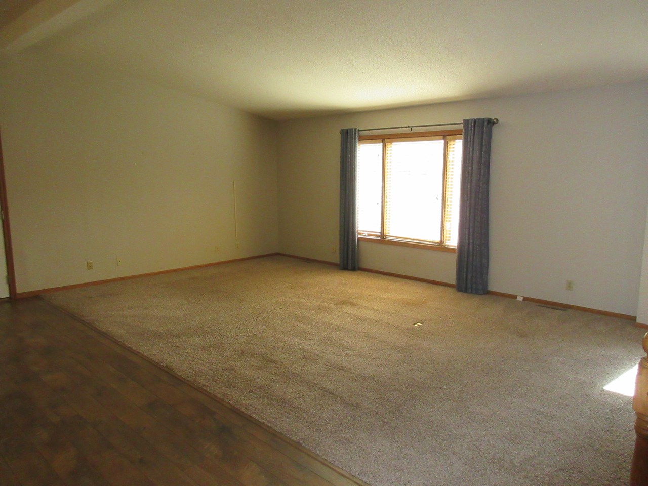 large living room open to the kitchen and the basement.