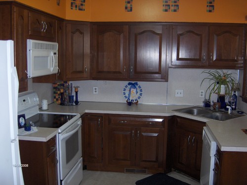 kitchen with built in dishwasher and microwave