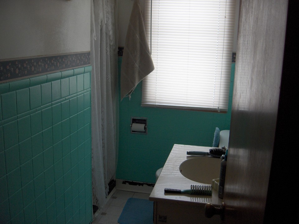 main floor bathroom with shower.