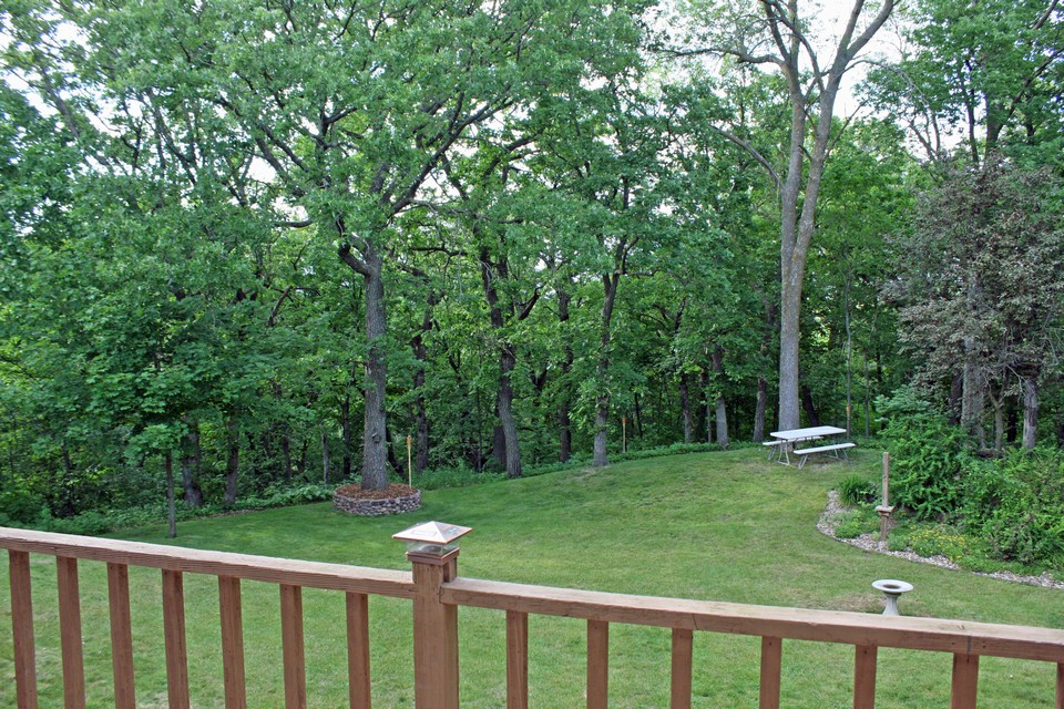 backyard from the deck.