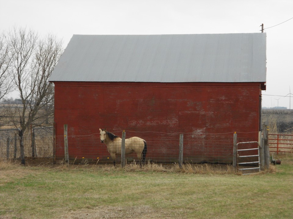 horse barn