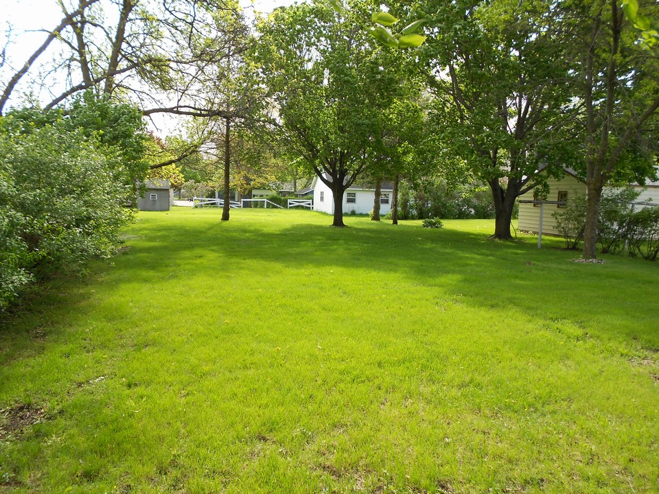 large backyard