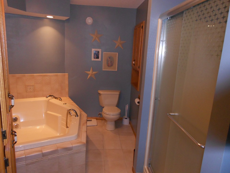master bathroom jacuzzi tub and walk in shower.