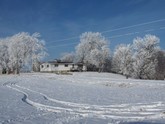 property listing