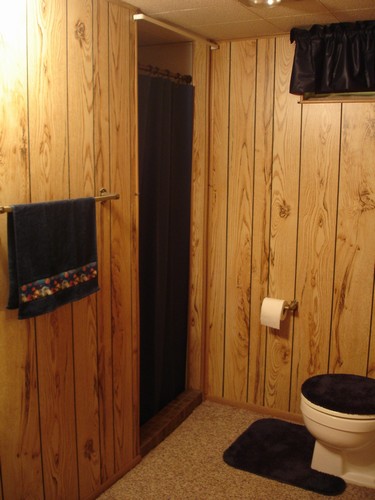 downstairs bathroom. walk in shower.