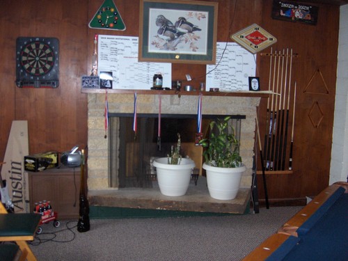 wood burning fireplace