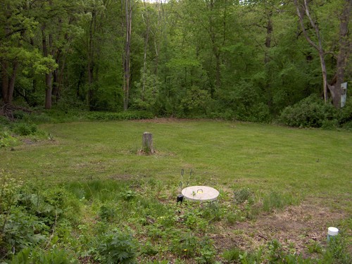 part of the backyard