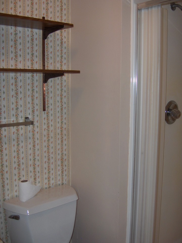 master bathroom walk in shower.