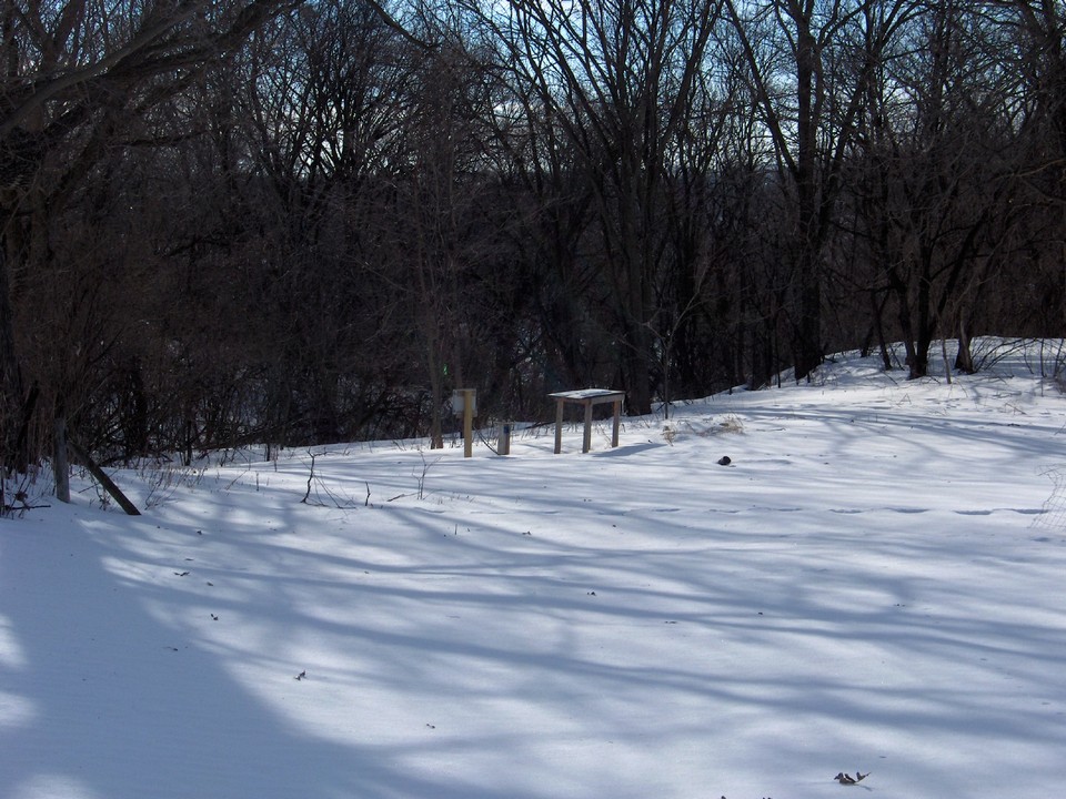 large backyard