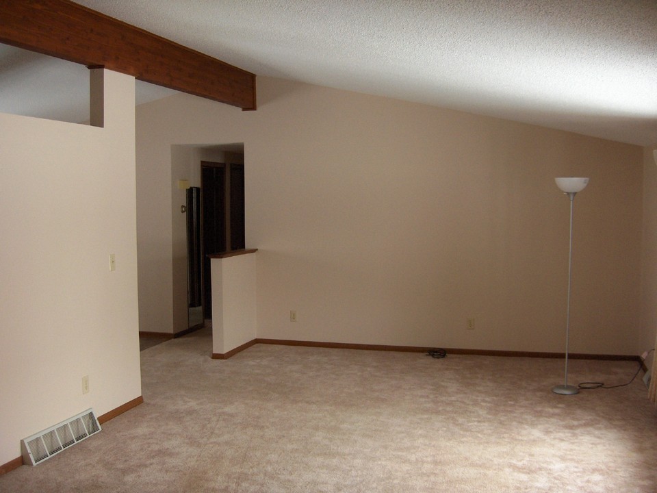 living room vaulted ceilings