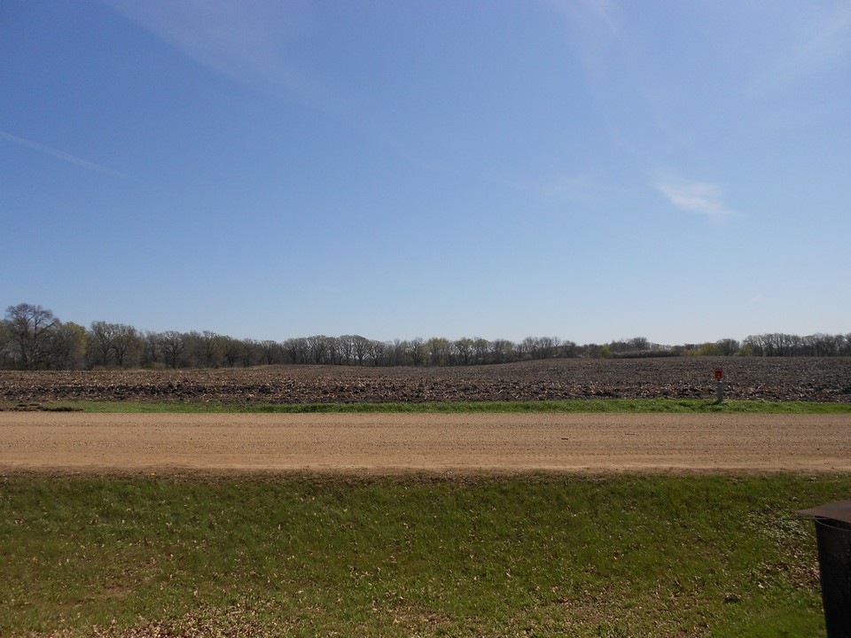 view across the road: east