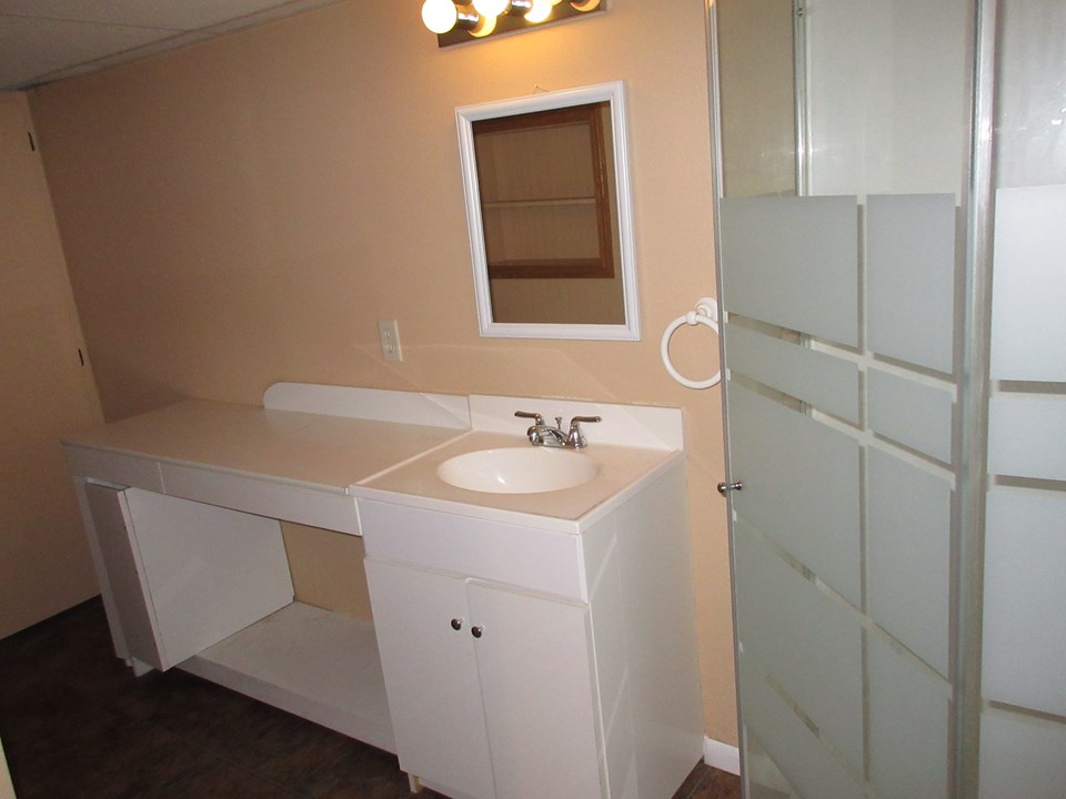 basement bathroom with shower