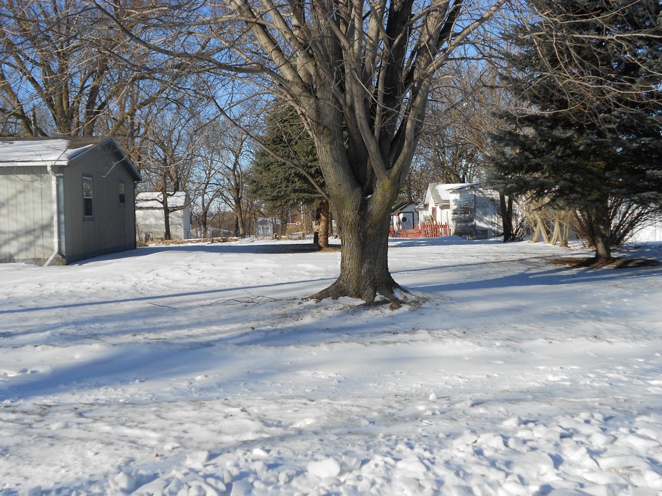 large side yard
