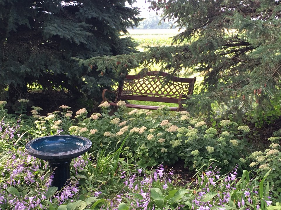 flowers and landscaping