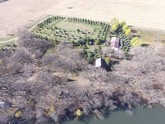 property listing
