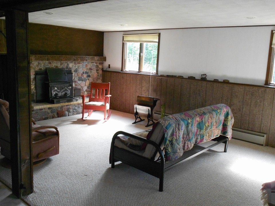 lower level family room fireplace, lots of windows for natural light.