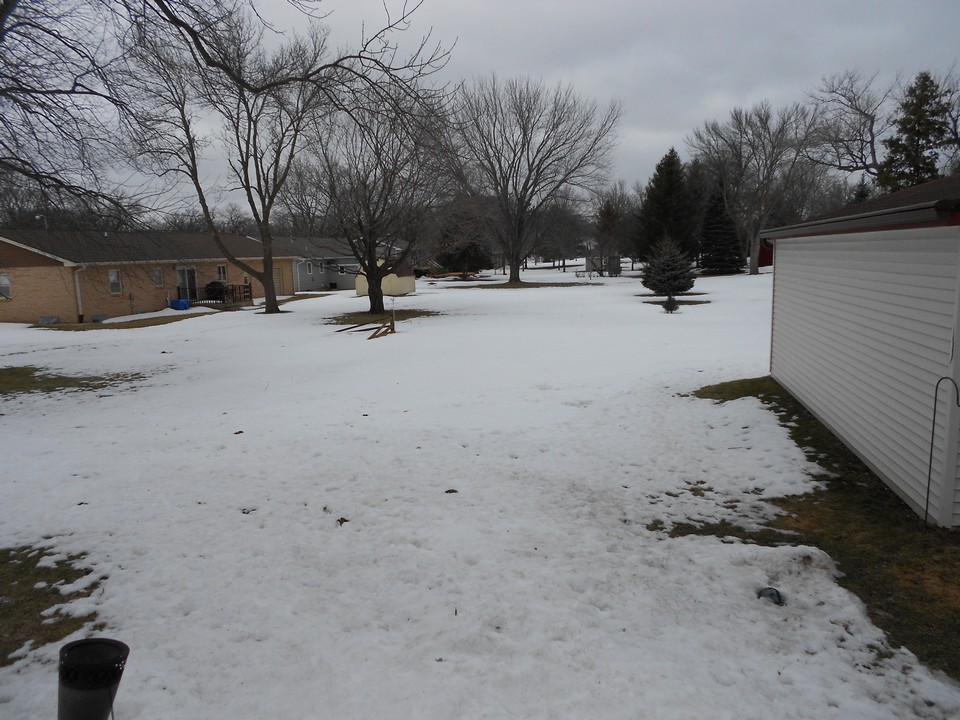 large backyard