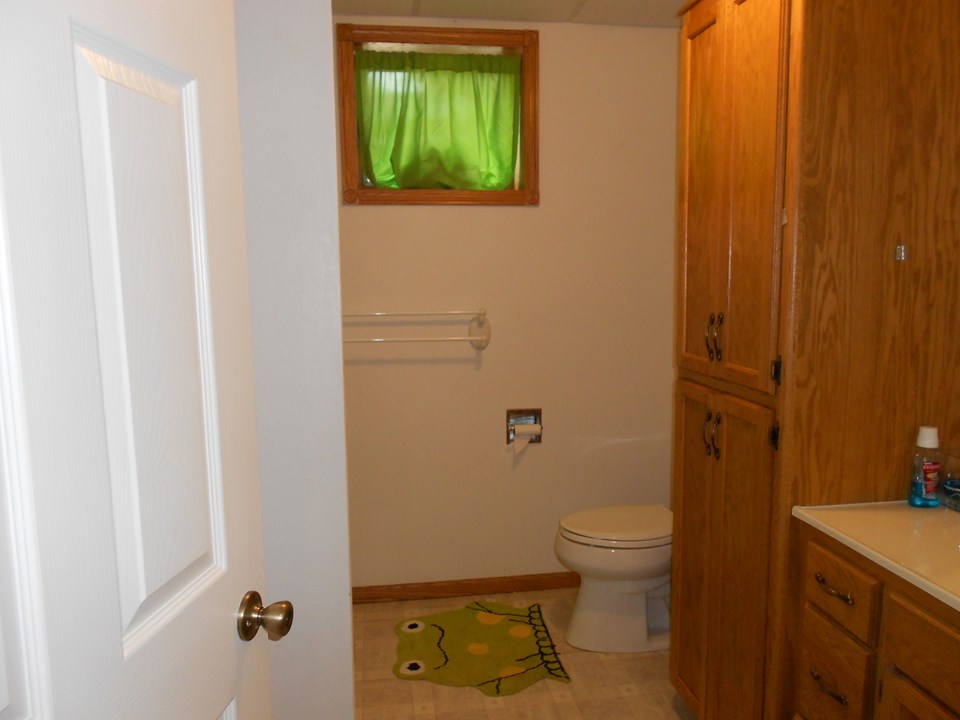 basement bathroom