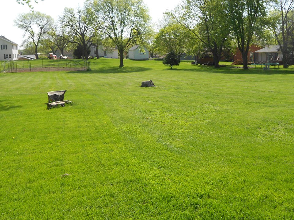huge backyard