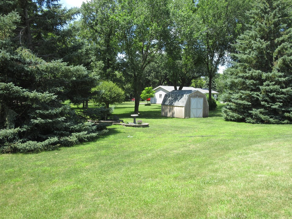 backyard garden shed, trees, and landscaping