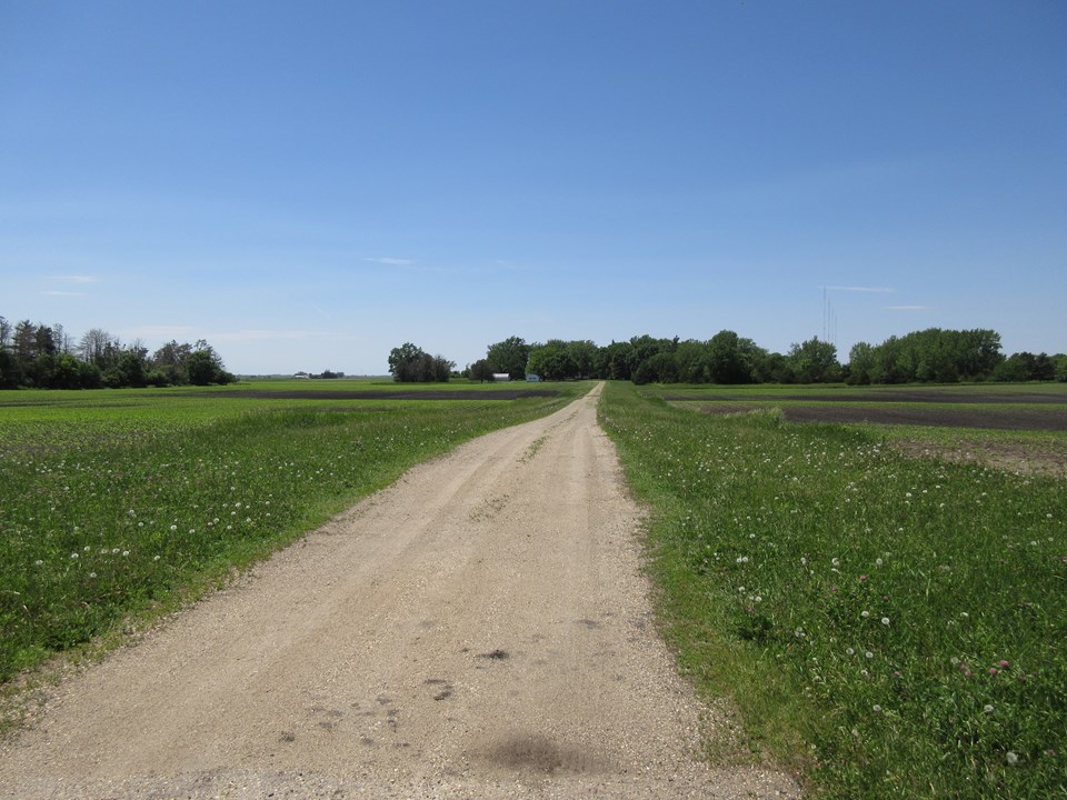 view from the road house sits on 6.22 acres with a nice grove