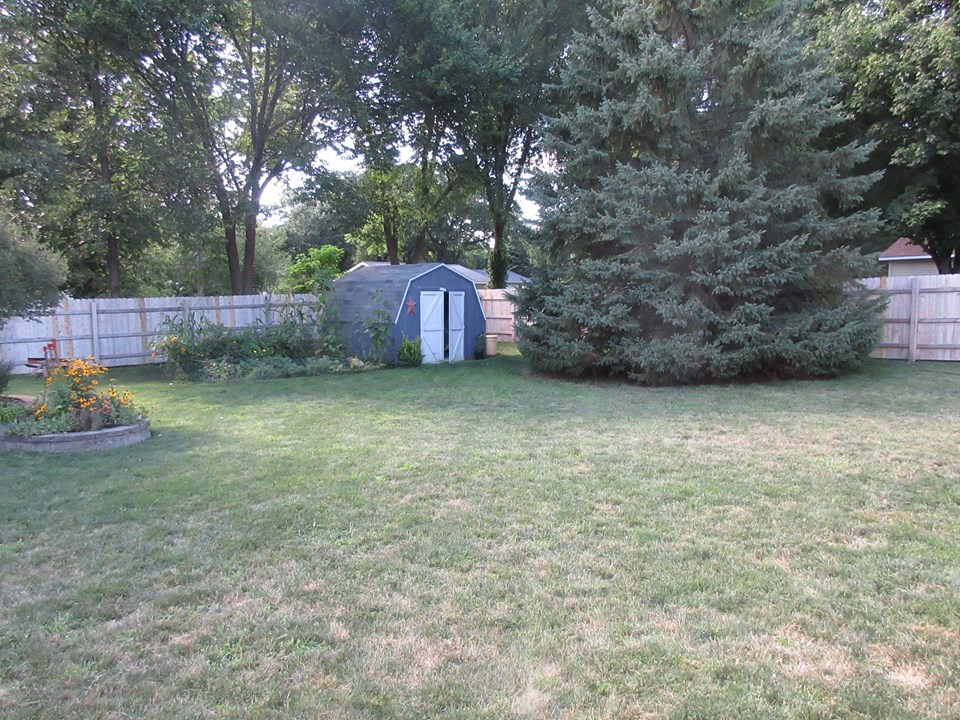 back yard all fenced in for privacy and for dogs