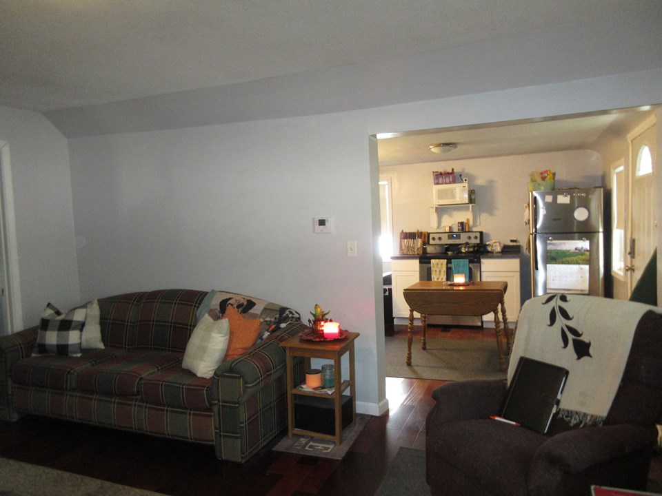 living room and kitchen
