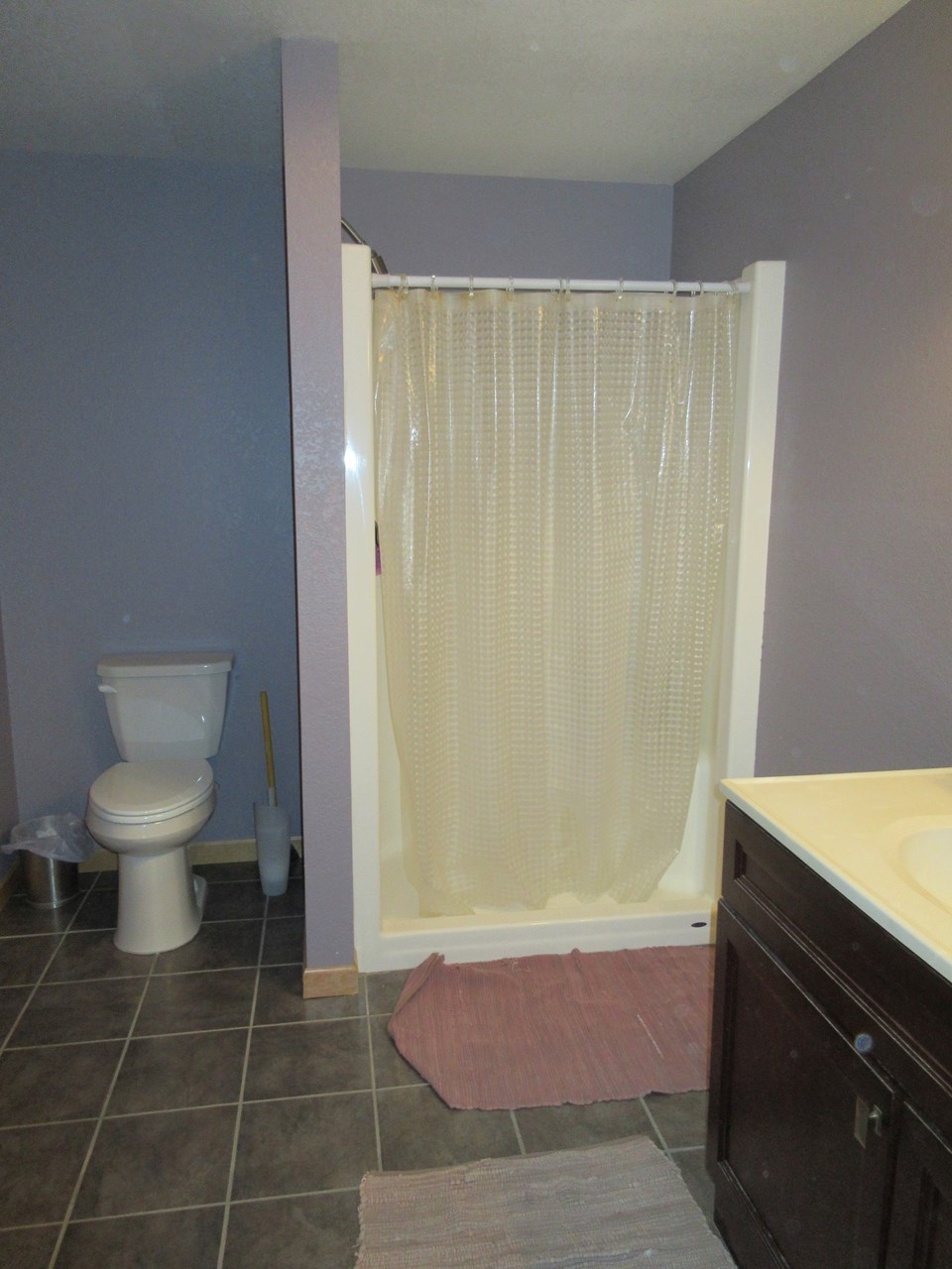 basement bathroom