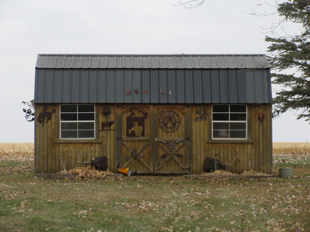 10 x 20 she shed