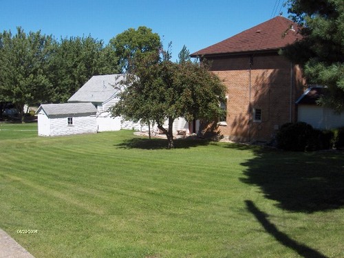 side of house and backyard