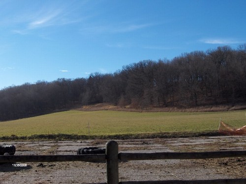 view from driveway.