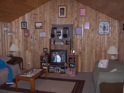 living room woodsy walls and ceiling caryy out the woodland theme